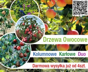 duo drzewka promotional