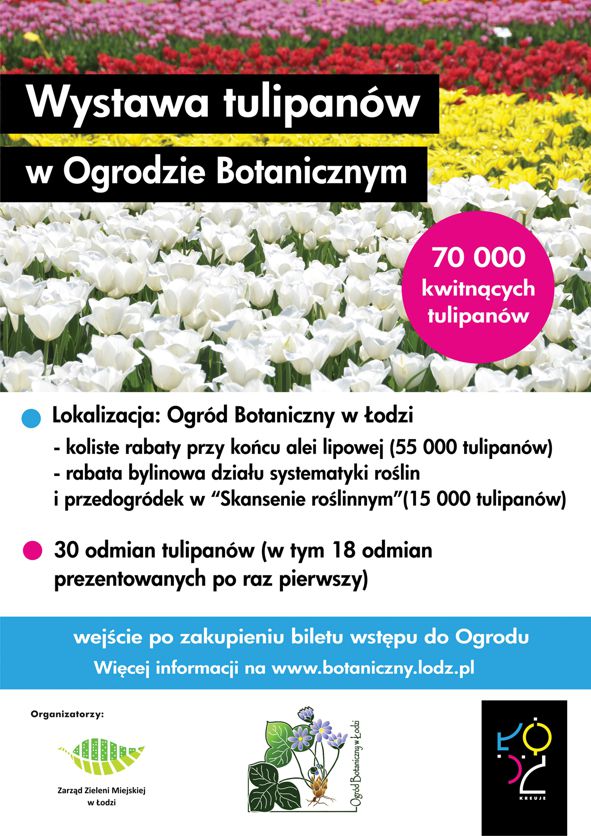 Tulipany plakat 2016 net