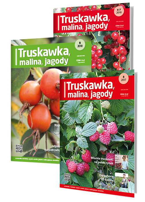 Prenumerata: Truskawka, Malina, Jagody